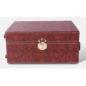 Premium Leather Vintage Mini bar